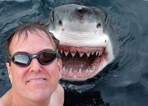 Жыныстық саланың маңыздылығын арттыру Палангадағы жағажайдан эротикалық фотолар