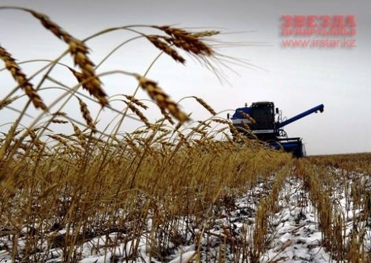 Нет названия