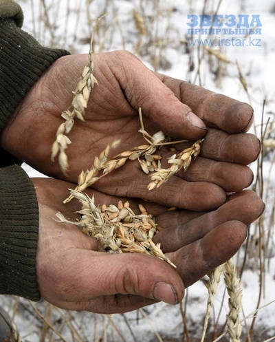 Нет названия