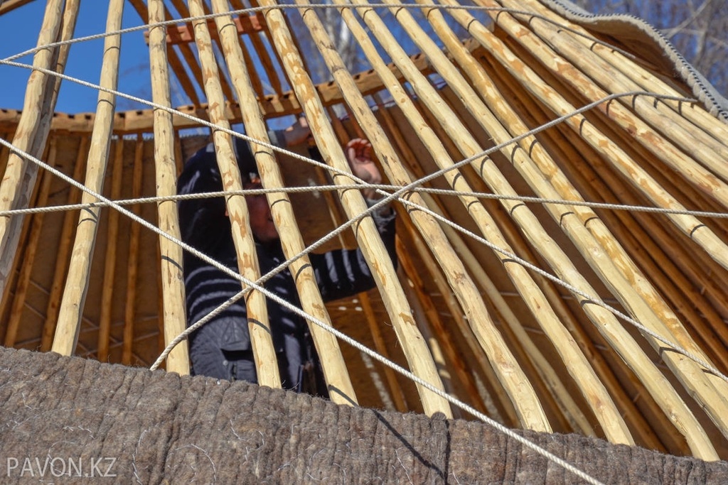 Нет названия