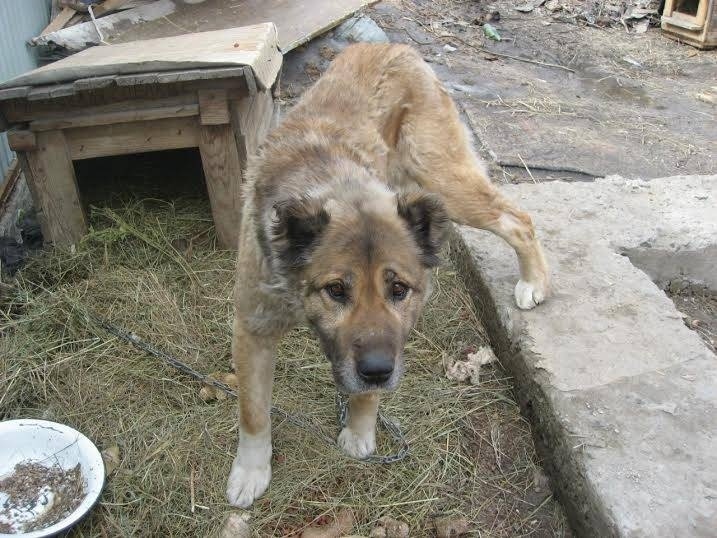 Нет названия