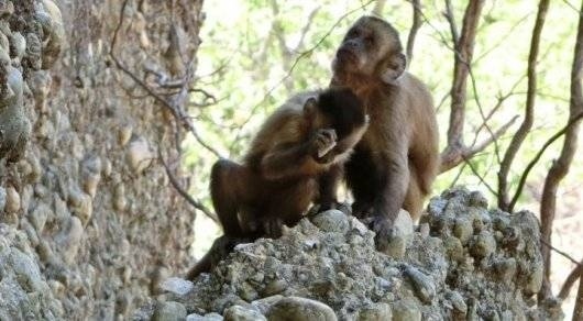 Нет названия