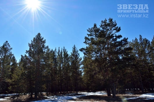 Нет названия