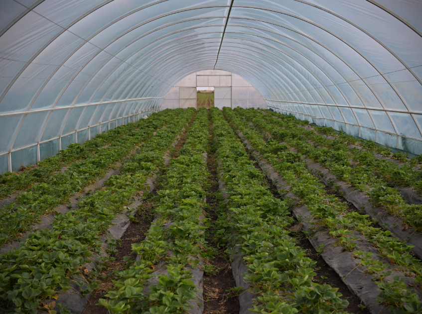 04ab5587eefda917a94d03282cabd6b1a040089c