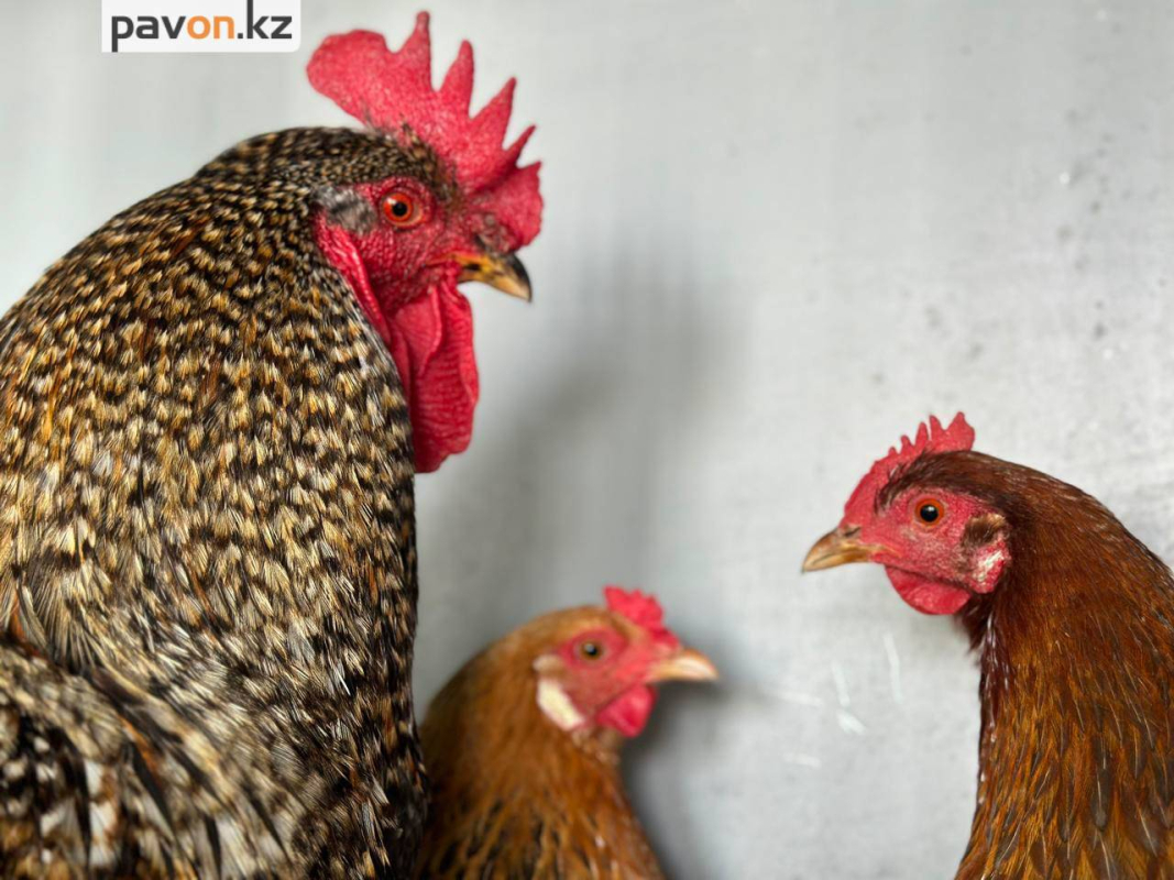 1c75ec86904c27db4ad55b6e9a3d8af41bd7611d