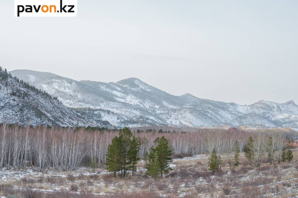 2fefd71febf1604971b3decefe2e942ed18109af