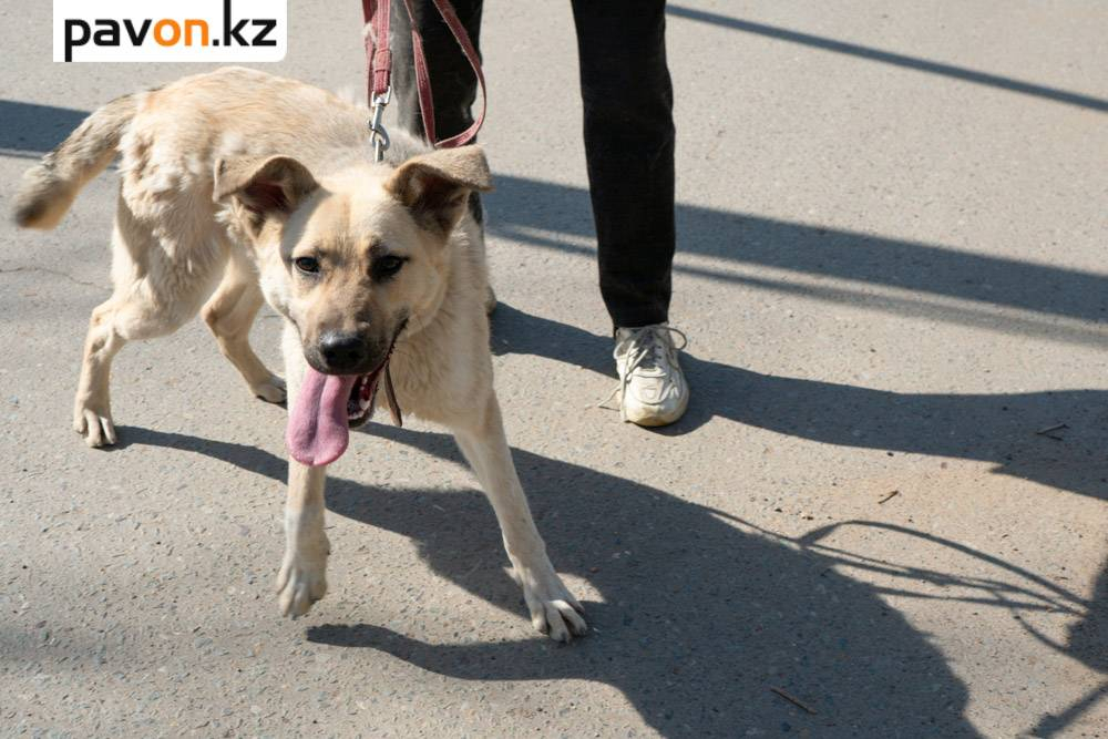 305cbab11fa836d09d70a605c412e1a92d5bbdeb