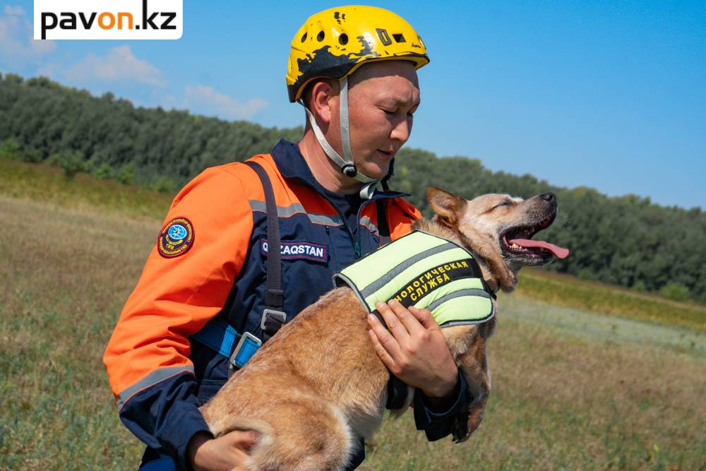 4000846048e17319a1b6fd4707e54195c6be12c4