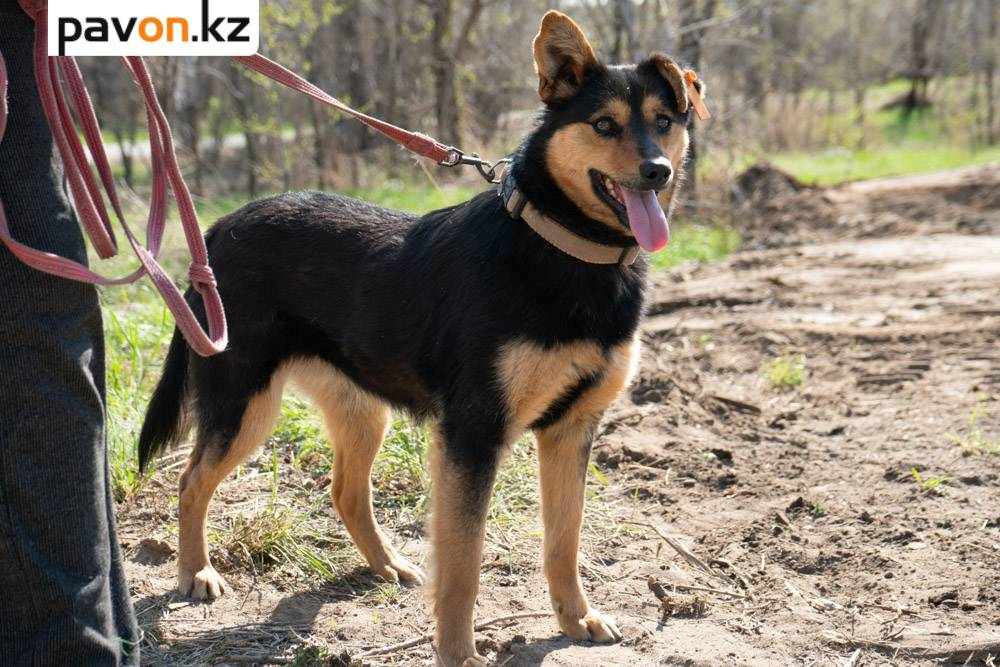 448c0c5413305447243138ef5b4677a16d9ebe90