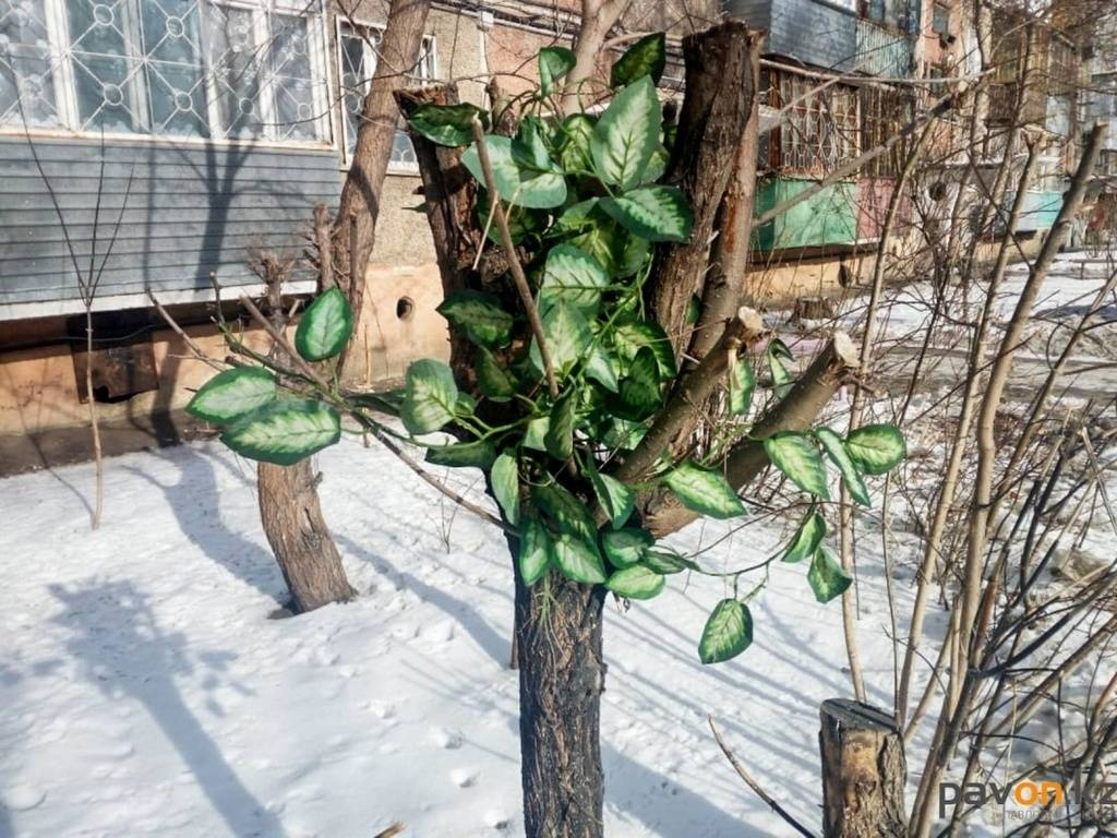 451dc2142483516c8aaab66918b6a900569eddf7