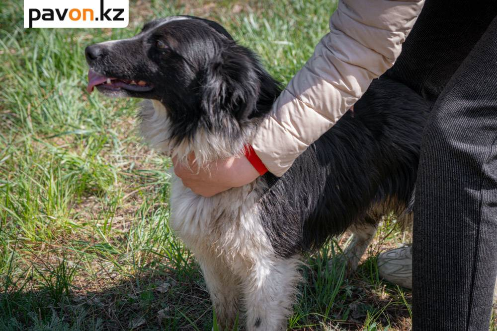 5c6d546bbcbfd68529748d08c701ac7c017d78f5