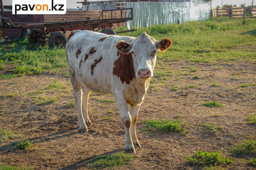 5d256791332029139118e7341647d52f774a4e0f