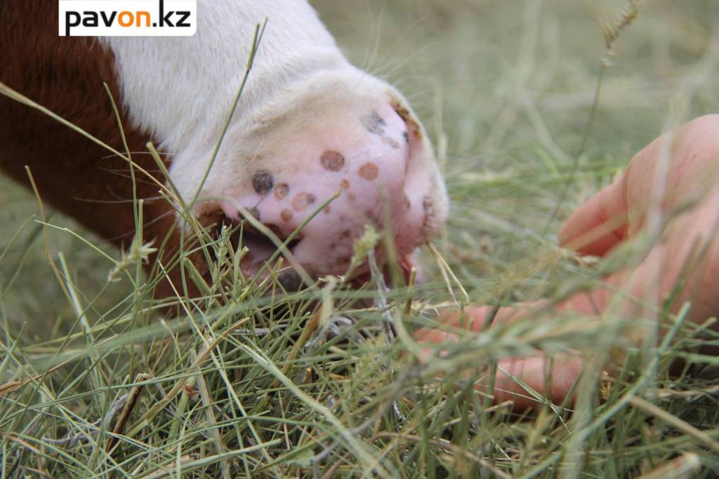 6148f9488ec35d9d96fbe778904a256ca442193d