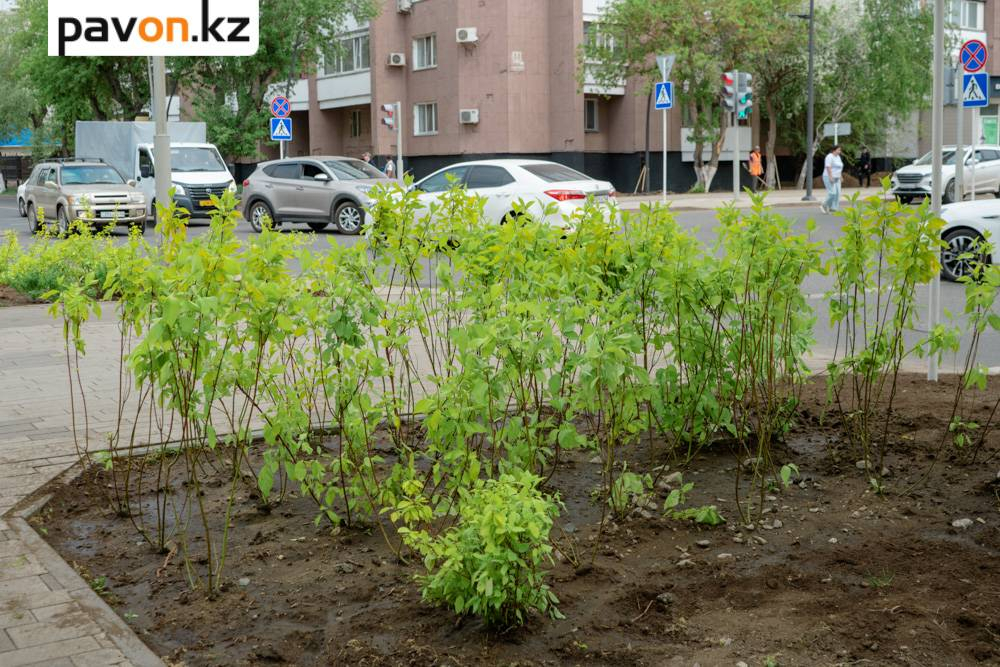 62e2bf17a42657708826a2d5d5d3afce91085159