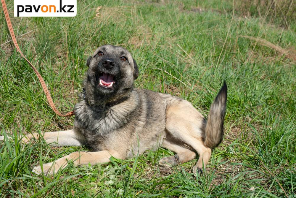 85191e2522dc4e243fb3b3555564716bc1f05e99