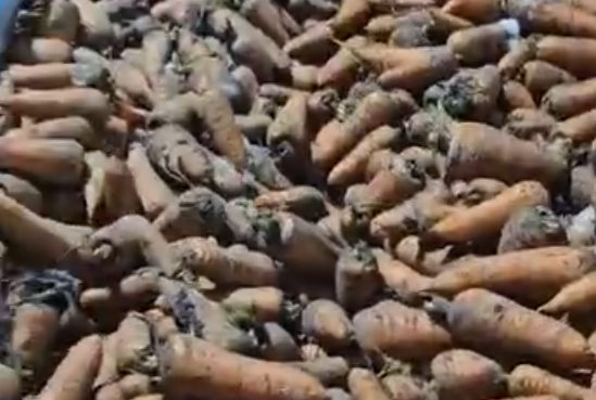 86962dff5187c13a03258dc4bae5217fbc1301e4