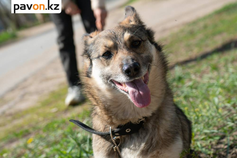 8a85eb76682134c59266b52944a119ccc1ff7352