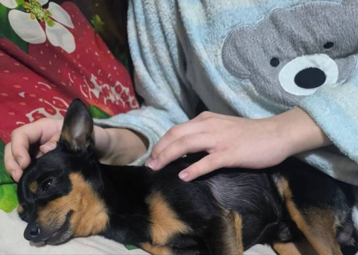 8ae86daaa872d4147524fd68b588fc41b999b512