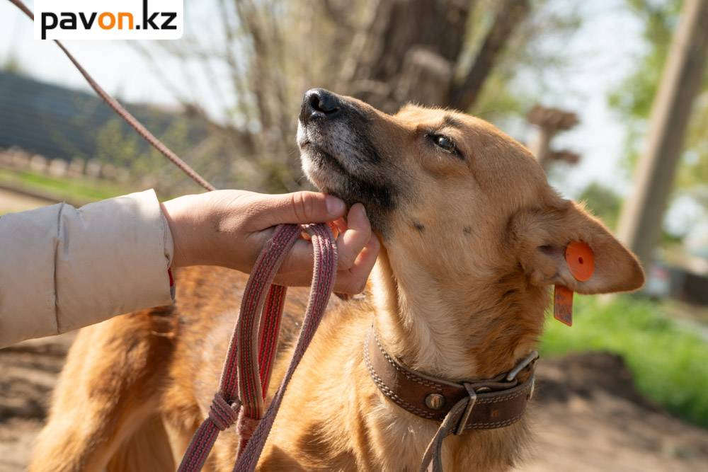 8b9c4057b555fa9551bb2c209e873e6dcbb58e60