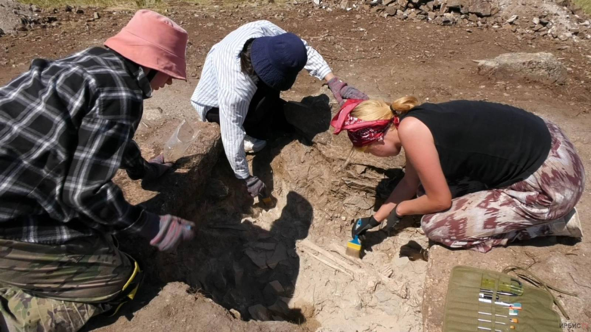 905397168b559b065b0fa78d0cc32336454bda8a