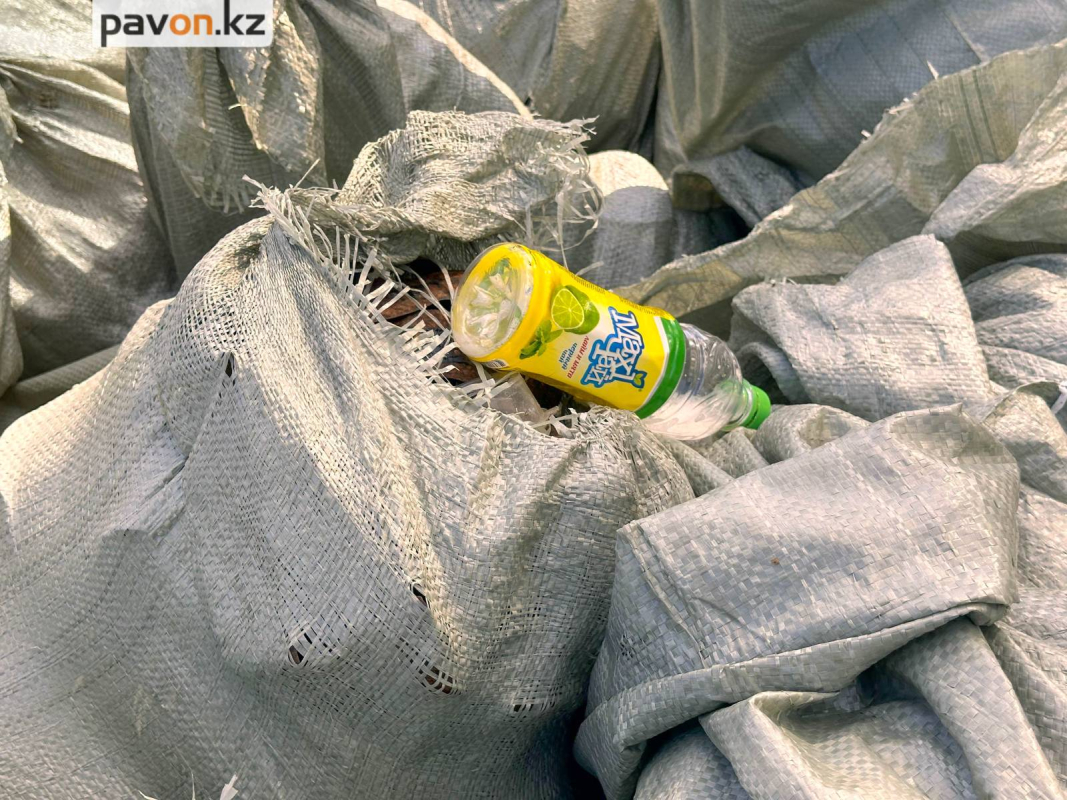 98ee048112d1aa4c0e9005d3367d6974dc8d9824