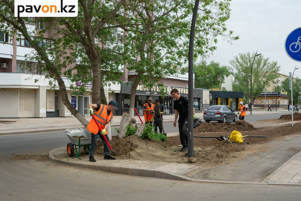 9d2aa9e11773d5b02e1ce9f510cbebaf5688f44a