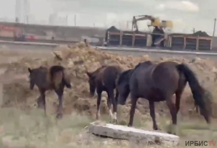 a2009b48bd71a23a2983bf08a4597fe3417fad99