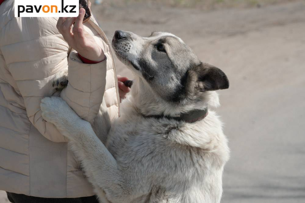 a2aa4c2111f6835d5eb5088dbbc4136544cef783