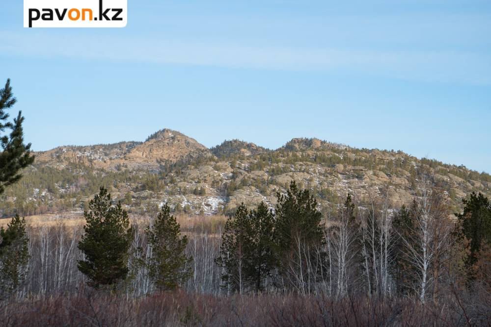 aaae90077a8ad776ca2685cf04cabb83895f9f6d