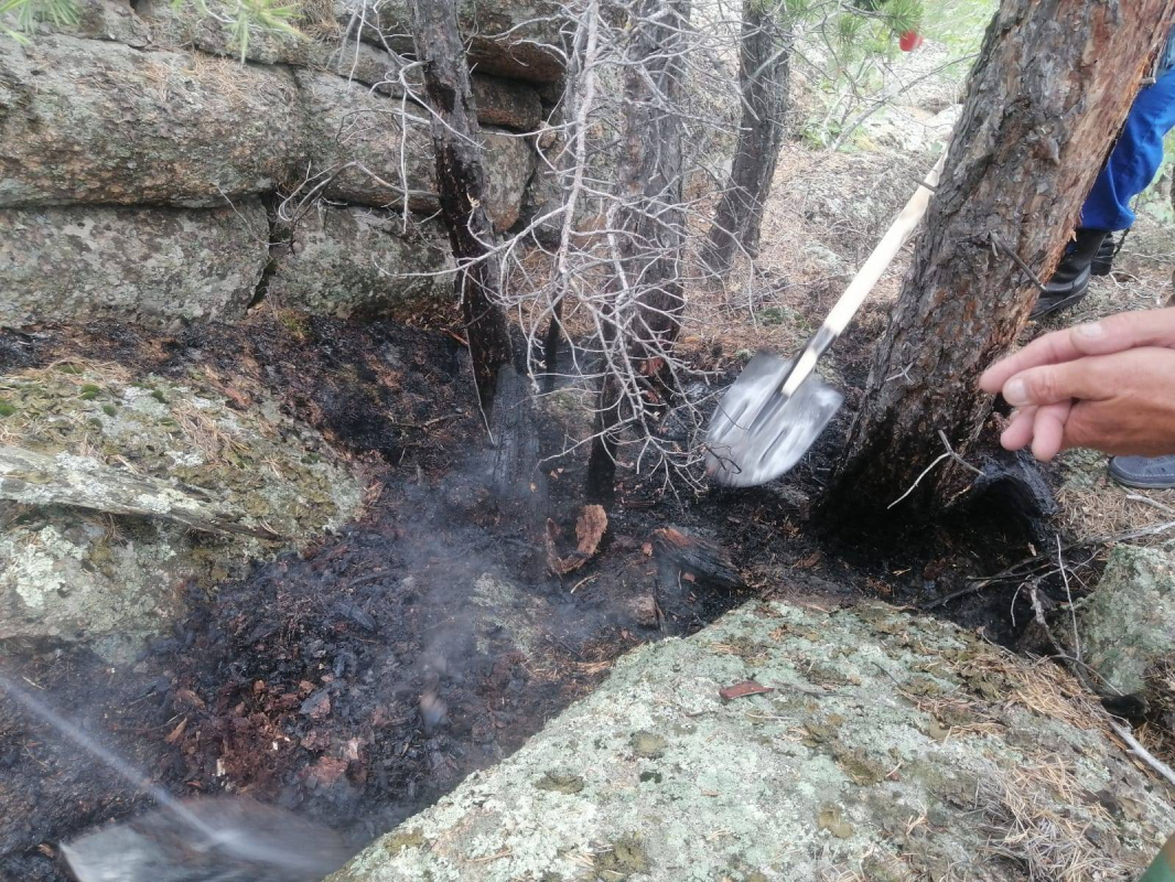 ae801359d8809fec226f2787d016ec37f0fe399a