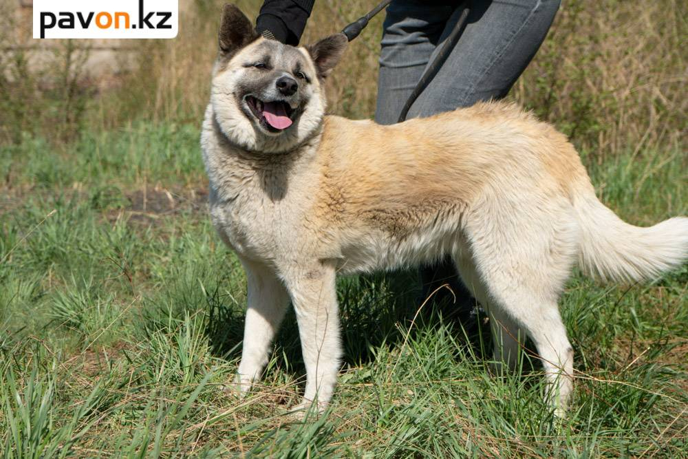 bb2c502ba2696eee3243183bc4cfd4ce6143bbd6