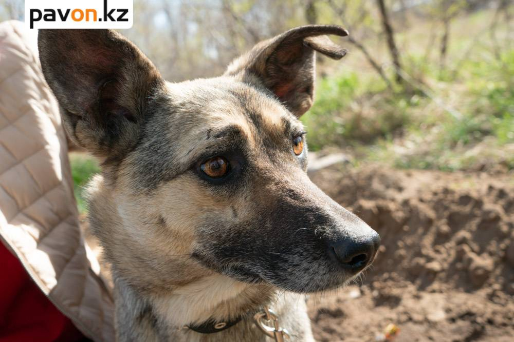 c6e070154df93fa76552c1f43ea4676171702d24