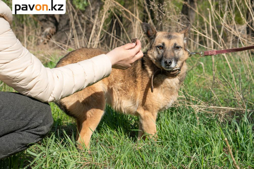 cd3ccd4b2cd575300aea11999320545c40b5c82f