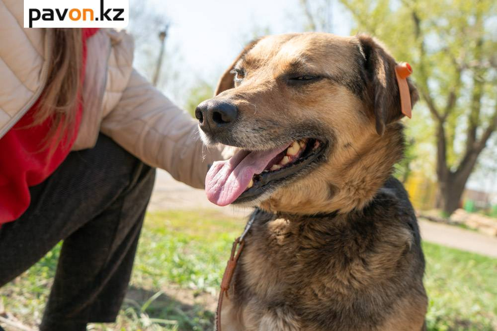 fda5c8358973ba674b1f4a5cd581efb291f64888