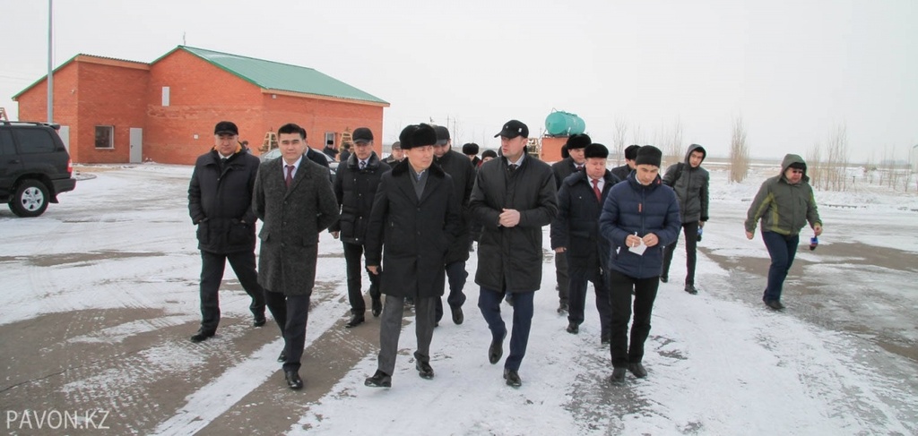 Тоо рубиком. Шпейзер Георгий Франкович Павлодар. Шпейзер Павлодар. Лесное хозяйство Павлодарской области. Комитет лесного хозяйства и животного мира РК.