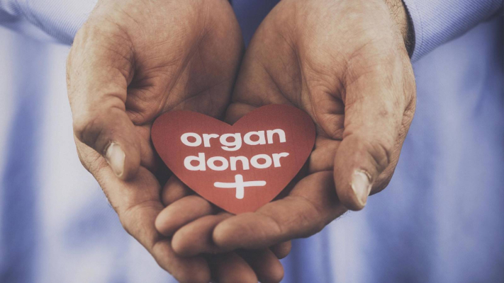 Жительница Павлодара стала посмертным донором, подарив шанс на жизнь нескольким тяжелобольным пациентам