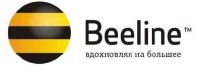 Beeline открывает бесплатный доступ на vlast.kz