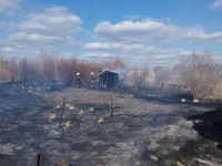 В Павлодаре в одном из садоводств от огня пострадало больше 100 дачных участков
