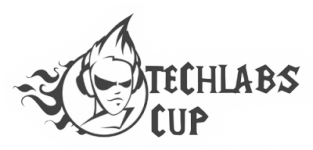 TECHLABS CUP KZ 2011