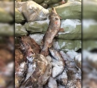 2,5 тонны запретного улова задержали павлодарские полицейские