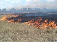 В Павлодарской области проведены совместные с РФ учения по тушению трансграничных природных пожаров