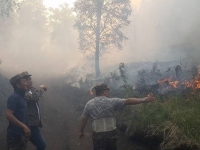 Монголию захлестнули лесные пожары
