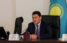 Булат Бакауов раскритиковал районных акимов за неисполнение элементарной задачи