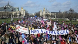 Полмиллиона французов вышли на протест против однополых браков