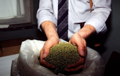 Свыше 120 килограммов марихуаны изъяли полицейские у жителя Павлодара