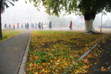 Павлодарская школьница предложила использовать опавшие листья