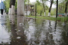 Дожди и усиление ветра ожидаются в Павлодаре