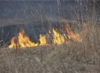 Около 100 гектаров поймы вдоль Иртыша и Усолки горело в Павлодарской области