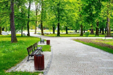 Учиться развивать парковую зону павлодарцы будут у московских коллег