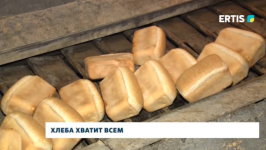 В Павлодарской области имеется 5-месячный запас пшеницы
